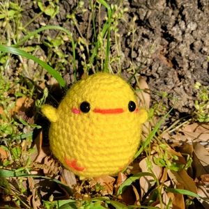 🥚Crocheted Baby Chick 🐥 Country Chicken